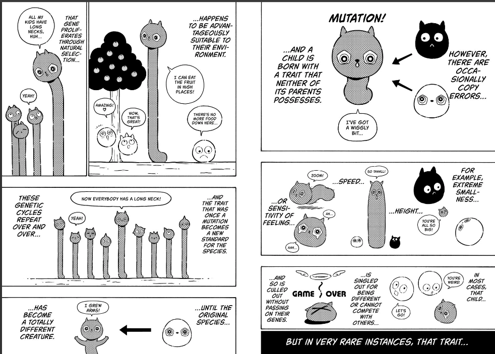 Blue Lock Chapter 281 - PAGE 5